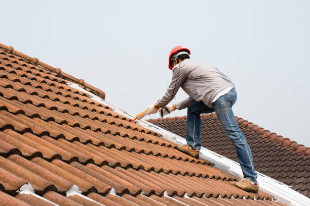 Best Sheet Metal Roofing  in Buna, TX